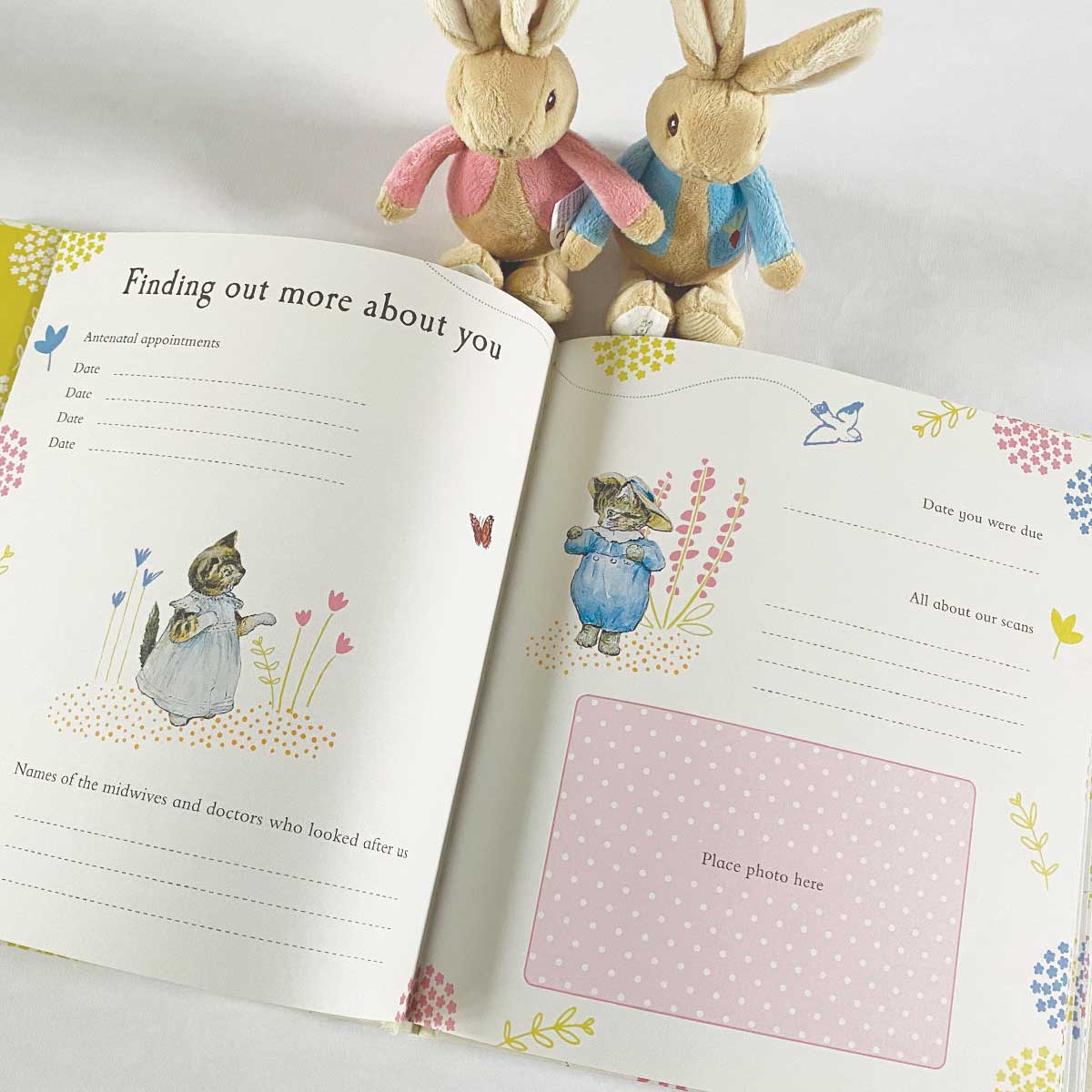 Peter rabbit memory sales book