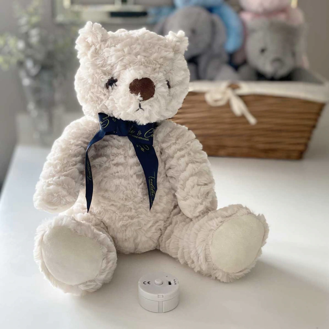 Teddy bear with voice recorder clearance uk